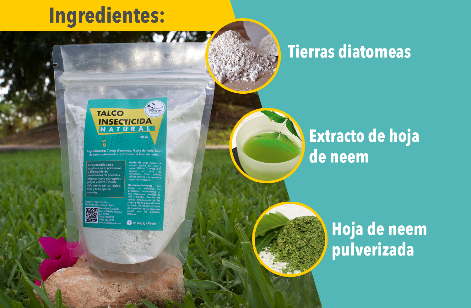 Talco insecticida